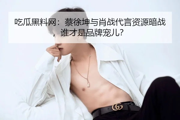 吃瓜黑料网：蔡徐坤与肖战代言资源暗战，谁才是品牌宠儿？